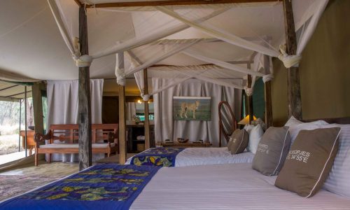 tourism, Airlink airline, archipelago charters, azura-benguerra-private-island, azura island, a Safari in africa, British airways, Camp Kuzuma’s safari lodge camping, Bantry Bay Cape Town, Tourism corporation Africa, Dragonfly South Africa, tourism in south Africa, tourism, tourism in south Africa, Jaguar Land Rover Cape Town, Kaskaz Mara Camp, Corporation, Kurland plettenberg, Kyaninga safari Lodge, Lodge safaris, Maasai Wanderings, Mandhari Lodge, Mobile Safaris, Naona Moru Camp, Nasikia Mobile Migration Camp, Pan African COVID19 Policy, Pengilly House, Pride of Africa, Rovos Rail, Samara Private Game Reserve, Tarangire Ndovu Tented Lodge, The Private Concierge, Tintswalo Atlantic, Tintswalo Boulders, Tintswalo Lapalala, Tintswalo Safari Lodge | Tourism Corporation Africa